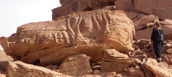 Relief de dromadaires au Camel Site