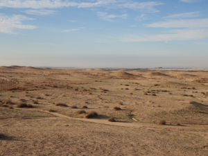 Vue de la nécropole de Thaj. © Mission archéologique de Thaj (CNRS/Heritage Commission)